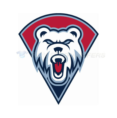 Charlotte Checkers Iron-on Stickers (Heat Transfers)NO.8992